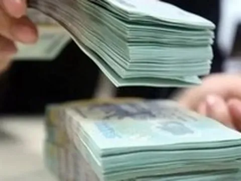 Tài chính Hoàng Huy, phân bón Bình Điền bị truy thu thuế