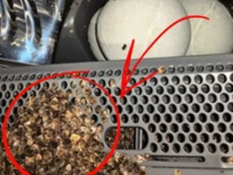 Sống 40 năm mới biết: Tuyệt đối không cho 8 thứ này vào máy giặt, không chỉ hỏng đồ mà còn “giết chết” máy rất nhanh