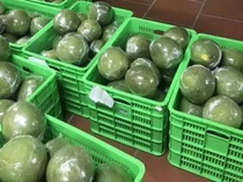 Tin vui: Loại quả Việt Nam trồng hơn 100.000 ha vừa chính thức có “visa” sang Trung Quốc