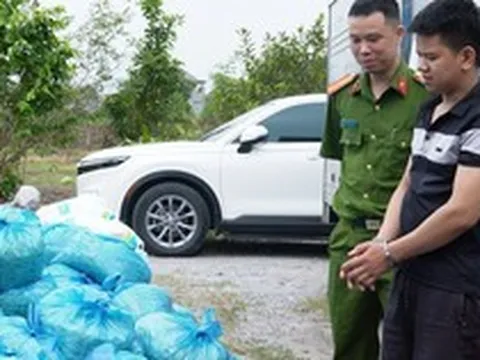 Đột kích xưởng sản xuất giá đỗ sử dụng chất cấm tại Quảng Ninh, thu giữ 4 tấn hàng