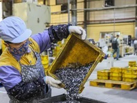 Hộ kinh doanh lưu ý gì trong kỳ kê khai thuế đầu tiên?