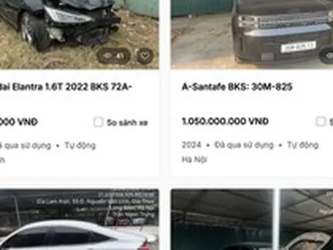 Ngân hàng thu giữ loạt xe ô tô điện của Mai Linh Lào Cai