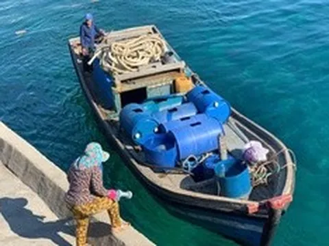 Nước ngầm suy giảm, sản xuất chật vật: Lý Sơn tính chuyện giải "cơn khát" dài hạn