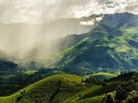 Thị xã ở Việt Nam quanh năm mát mẻ chỉ khoảng 20 độ, hàng vạn người tới đây tránh nóng: 4 năm liền được vinh danh "hàng đầu châu Á"