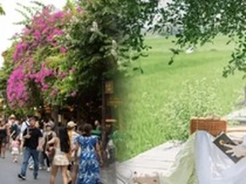 Mặc phố cổ Hội An tấp nập, nữ du khách “trốn đông” ở nơi cách 3km, chỉ mất vài phút di chuyển