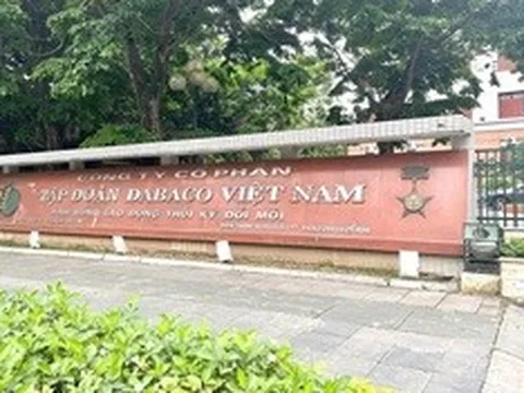 Dabaco lãi giảm sâu, chi phí đầu vào và giá lợn hơi tạo áp lực