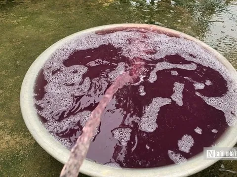 Vụ nước giếng khoan chuyển màu tím, hôi tanh: Kết quả xét nghiệm nhiều chỉ số vượt chuẩn hàng chục lần