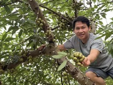 'Ông hoàng nhạc đỏ' mê làm nông, có nhà vườn rộng 4.000m²