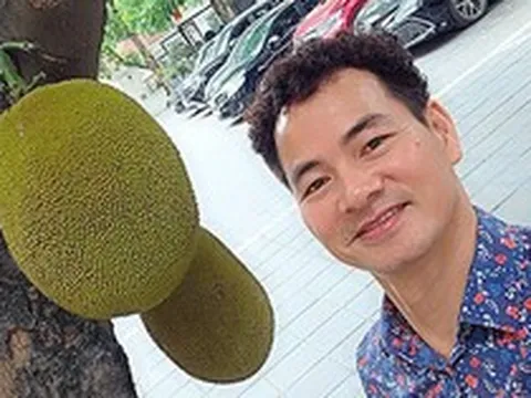 Cây mít nổi tiếng nhất Việt Nam khiến Cục trưởng Xuân Bắc phải đi làm cả cuối tuần để... canh chừng!