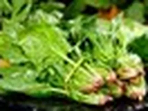 Cảnh báo: Thực phẩm chứa axit oxalic gấp 3 lần rau bina, ăn nhiều có thể gây hại sức khỏe