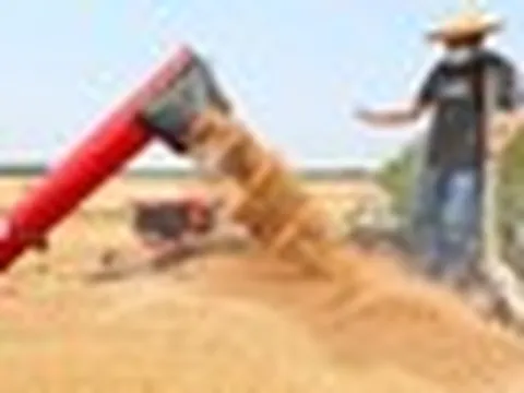 Không phải sầu riêng, Campuchia vừa đón tin cực vui ở mặt hàng đang cạnh tranh với Việt Nam - Trung Quốc góp công lớn