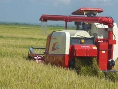 Cuba đón tin cực vui từ Việt Nam