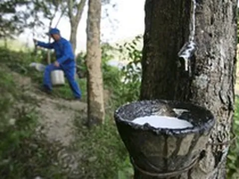 Một nguyên liệu thiết yếu cho ngành ô tô bất ngờ tăng giá mạnh nhất 8 năm: Việt Nam đứng thứ 3 thế giới về sản lượng nhưng chưa phải quốc gia hưởng lợi nhất