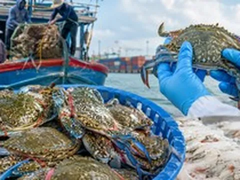 Việt Nam đón tin vui từ Mỹ!