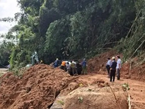Lâm Đồng chuyển đổi hơn 5ha rừng khắc phục khẩn cấp sạt lở Quốc lộ 28