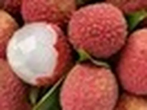 Lời khuyên cho những người thích ăn vải