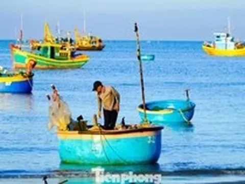 Làng chài Mũi Né: 'Tọa độ check-in' không thể rời mắt