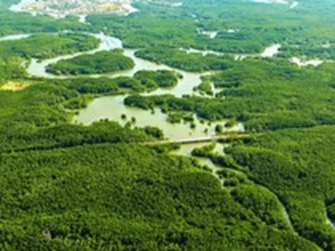 Giải pháp để Cần Giờ đón 40 triệu lượt khách