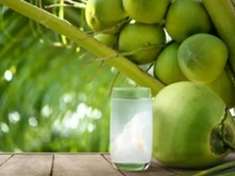 3 lời khuyên cho các gia đình hay uống nước dừa