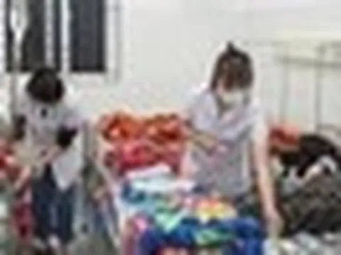Học sinh nhập viện sau khi ăn quả lạ hái ven rừng, Bộ Y tế vào cuộc