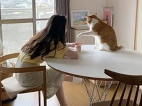 30 tuổi chưa mua được nhà, có lẽ tôi chỉ đủ sức nuôi nổi bản thân