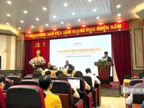VNDirect đặt mục tiêu lãi kỷ lục 2.414 tỷ đồng, dự kiến phát hành thêm 462 triệu cổ phiếu