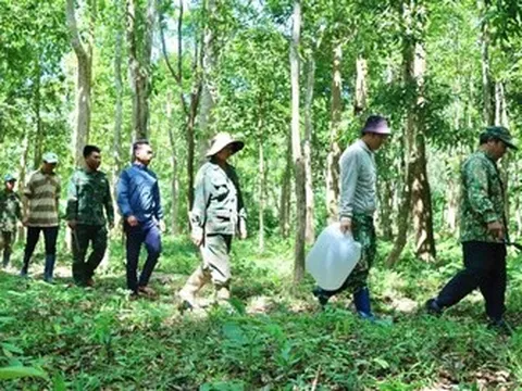 Truy quét "thòng lọng tử thần" giữa đại ngàn Tây Nguyên