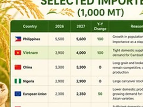 Mỹ dự báo Việt Nam nhập khẩu gạo nhiều hơn cả Trung Quốc, tiếp tục xếp thứ 2 thế giới