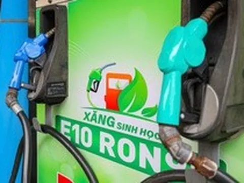 Từ 1/6, doanh nghiệp không bán xăng sinh học E10 sẽ bị xử lý