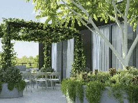 5 loại cây nên trồng trên sân thượng vào mùa hè