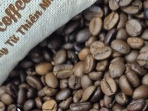 Giá cà phê hôm nay 23-5: Robusta tăng tiếp