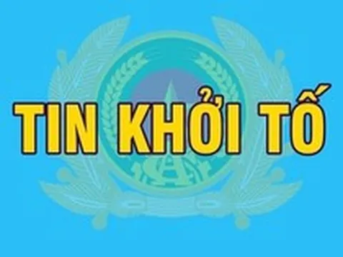 Khởi tố Giám đốc, viên chức Ban Quản lý rừng; Giám đốc, Phó Giám đốc, chủ sở hữu doanh nghiệp