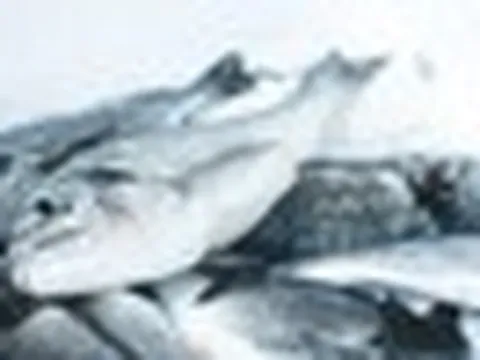 3 bộ phận của cá không nên ăn: Cái đầu tiên cực độc nhưng nhiều người tưởng bổ