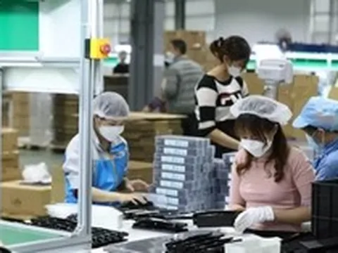 Một năm thông qua 89 luật, cắt giảm hơn 3.000 quy định: Doanh nghiệp nói gì?