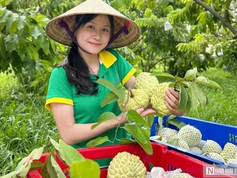 Cơ hội và thách thức khi đưa nông sản lên sàn thương mại điện tử