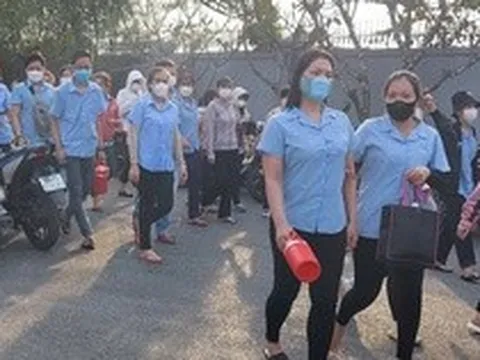 Doanh nghiệp trốn đóng BHXH hết thời "mưu mẹo"