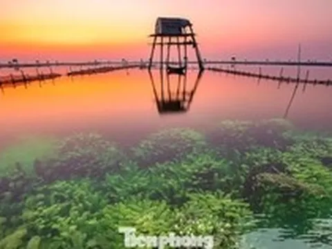 Khung cảnh 'siêu thực' trên bãi biển nổi tiếng Hưng Yên