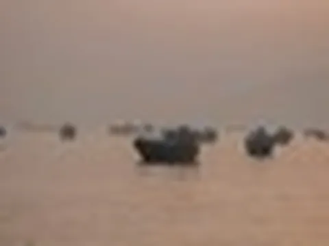 Báo Mỹ: Hơn 100 tàu thương mại được hộ tống qua eo biển Hormuz