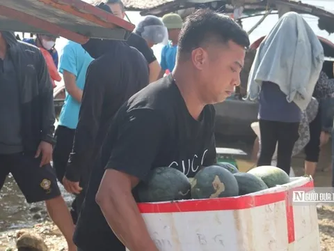 Dưa hấu Thác Bà được giá, thương lái tranh thủ thu mua từ rạng đông