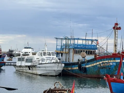 Những "xác tàu" bạc tỷ nằm mục nát giữa đảo Lý Sơn