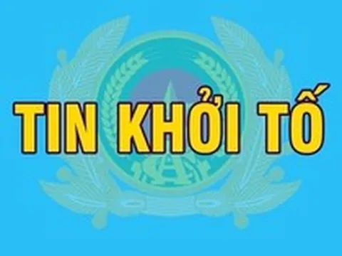 Khởi tố, bắt tạm giam Phó Chủ tịch UBND xã, Hiệu trưởng, Giám đốc doanh nghiệp...
