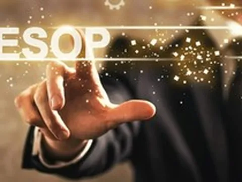 REE muốn phát hành ESOP