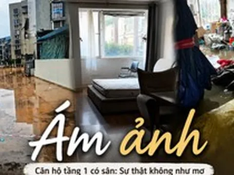 Hối hận ngập tràn vì mua căn hộ tầng 1 có sân riêng: Chỉ sau 6 tháng đã phải bán lỗ, bài học đắt giá từ giấc mơ “nhà vườn giữa phố”
