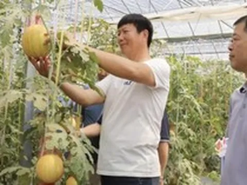 Phát minh của Trung Quốc gây sốc ngành rau quả: Tạo ra ‘dưa hấu vũ trụ’ có hương vị sữa, chocolate, thu về hơn 30.000 đơn đặt hàng