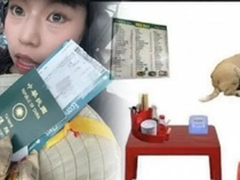 Du khách quốc tế truyền tai nhau mẹo ăn ngon ở Việt Nam: Bàn nhựa, ghế đỏ và chó béo