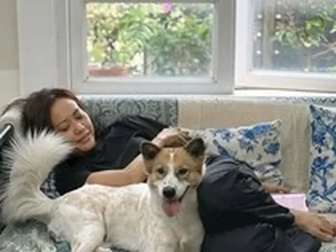 Nữ nghệ sĩ đình đám cưới doanh nhân có con riêng: 17 năm không sinh con, chồng chăm sóc khi bị bệnh