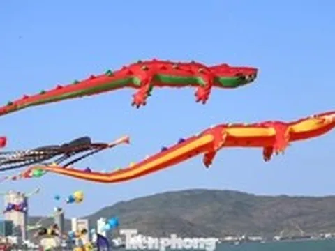 Xem cá sấu dài hơn 30m bay lượn ở biển Quy Nhơn