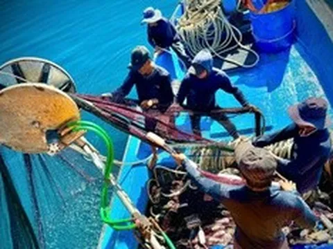 Theo chân ngư dân Quảng Ngãi trên ngư trường