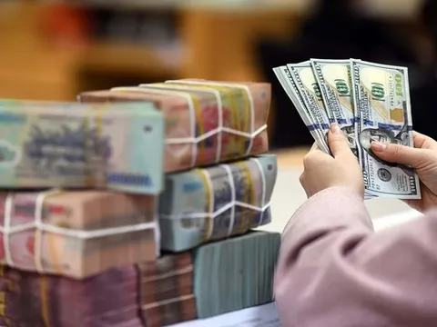 Dùng sai mục đích vốn từ lô trái phiếu 1.300 tỷ đồng, Nam Rạch Chiếc bị phạt 175 triệu đồng