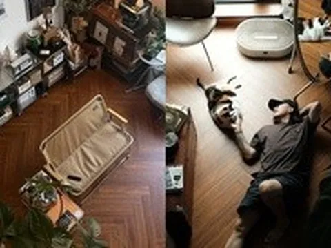 Căn hộ 35m2 có gác xép của chàng trai 37 tuổi mê trồng cây, đang sống cùng hai chú mèo